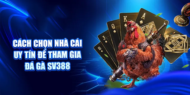 Cách chọn nhà cái uy tín để tham gia đá gà SV388